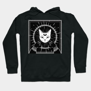 Cat face with moon on night sky Hoodie